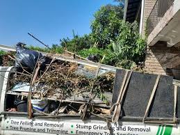 Best Dumpster Rental Services  in Rockfish, NC